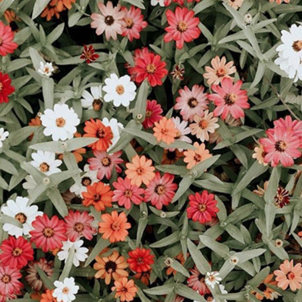 Meet your Posher, Nana